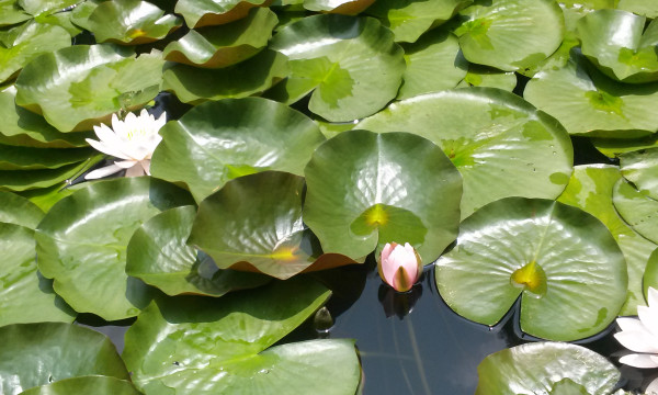20140624_130544.jpg