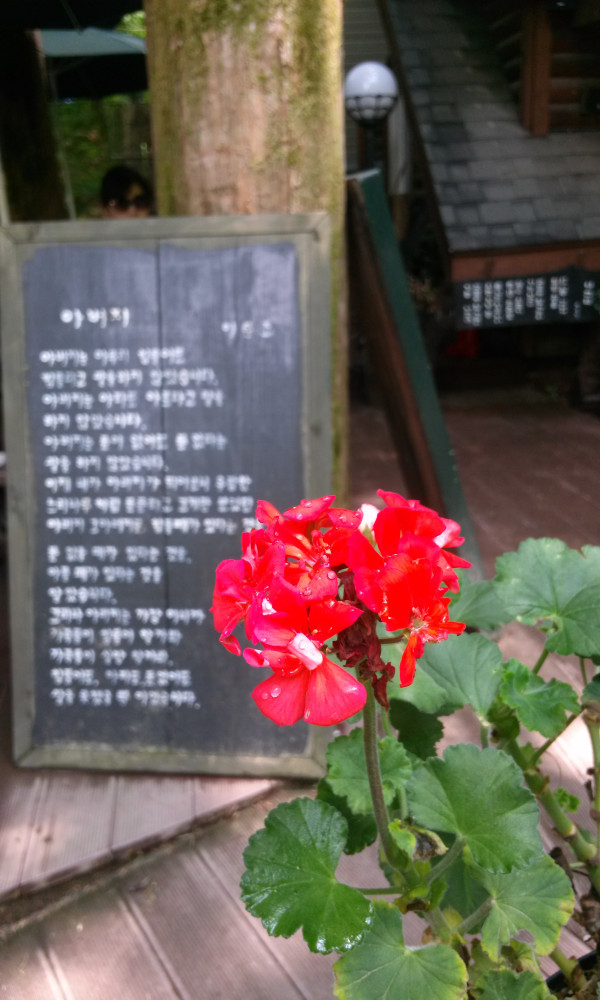 20140624_132227.jpg