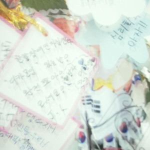 11월디카모임