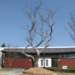 디카모임(수목원)|